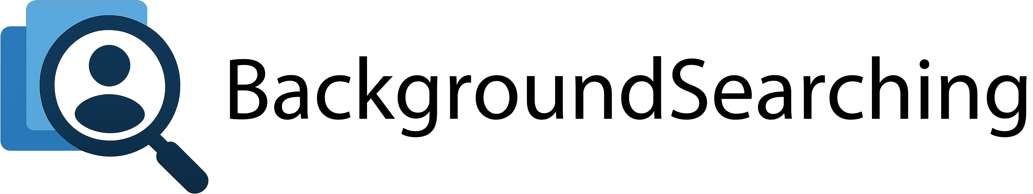 nanosocks logo